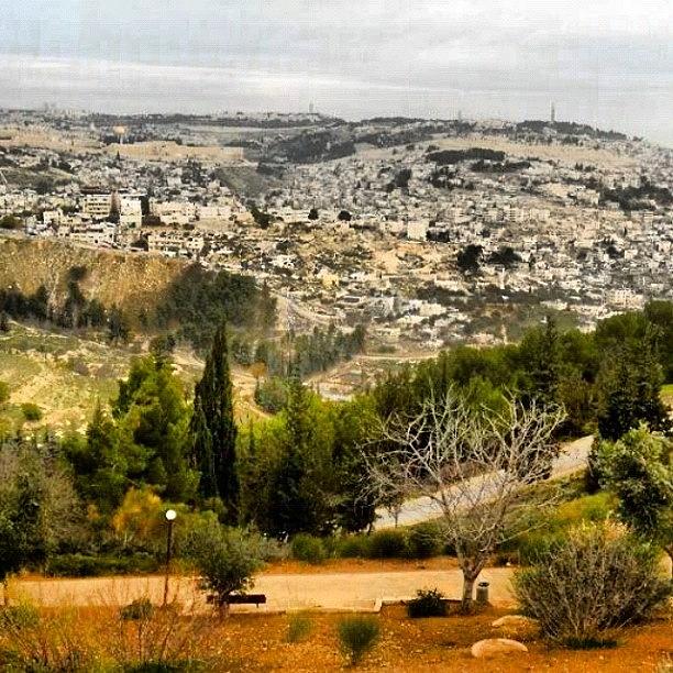 Nature Photograph - Jerusalem Landscape by Rebecca Shinners