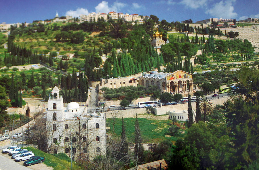Jerusalem Mount of Olives Photograph by Munir Alawi