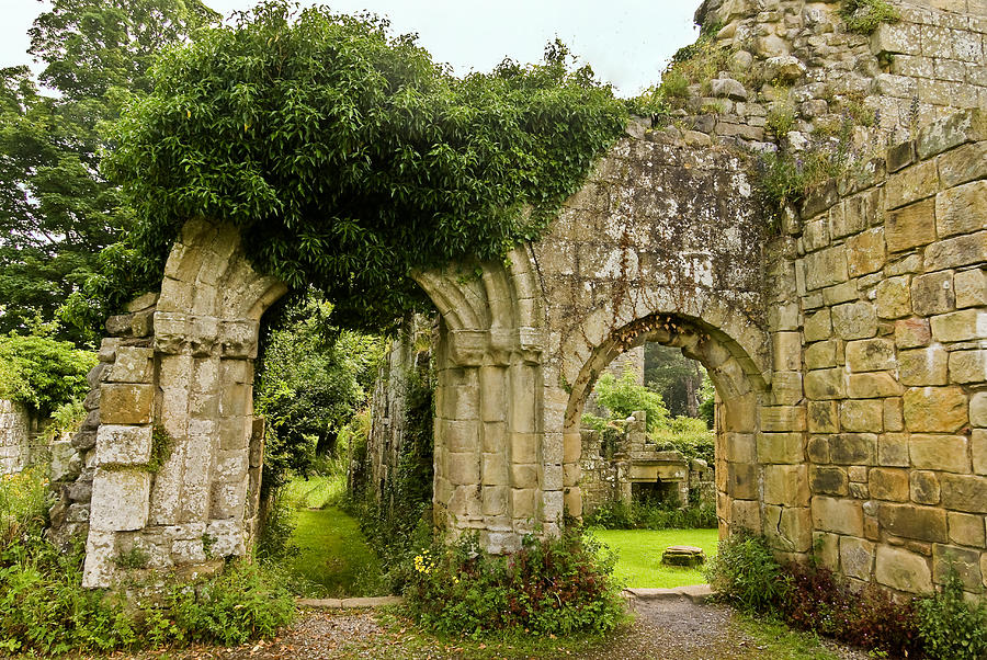 Architecture Photograph - Jervaulx Abbey Ruins by Trevor Kersley