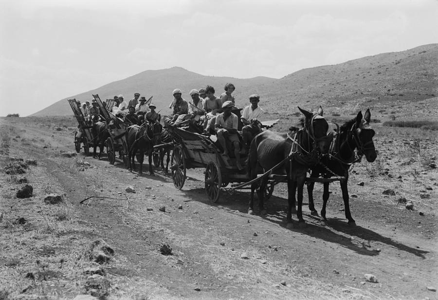 Desert Photograph - Jewish Settlers Arriving To Establish by Everett