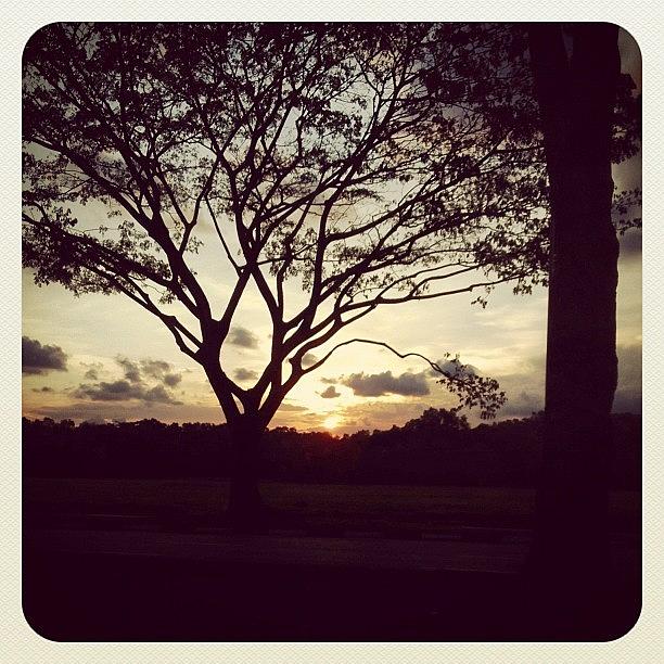 Sunset Photograph - John 15:2 • He Cuts Off Every Branch by Wilson Aw