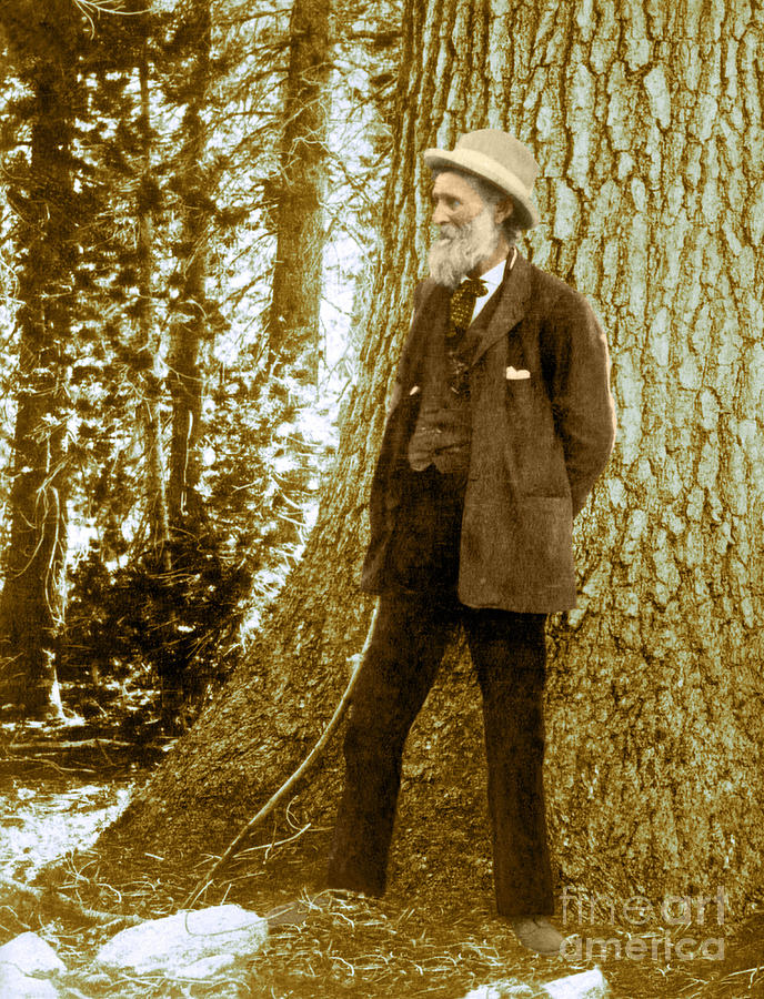John Muir, Naturalist Photograph by Science Source