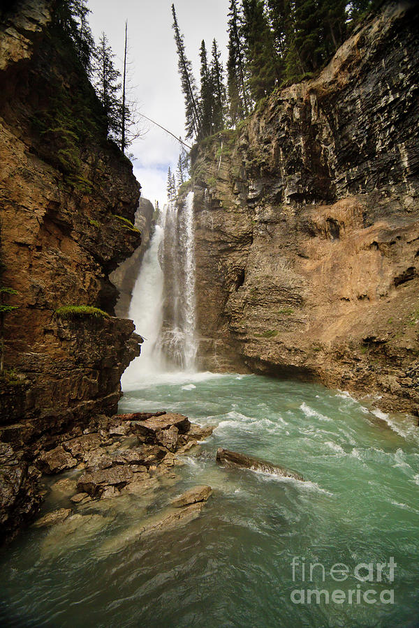 Banff National Park Photograph - Johnston Canyon Falls by Dennis Hedberg