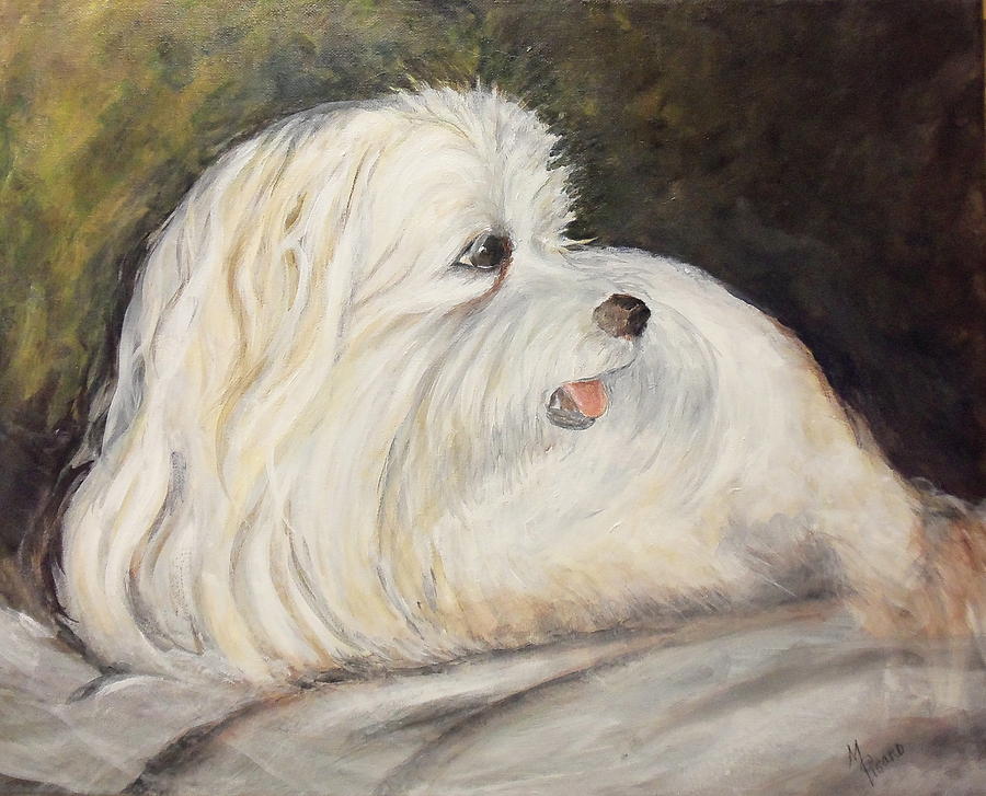 Dog Painting - Jojo  by Maureen Pisano