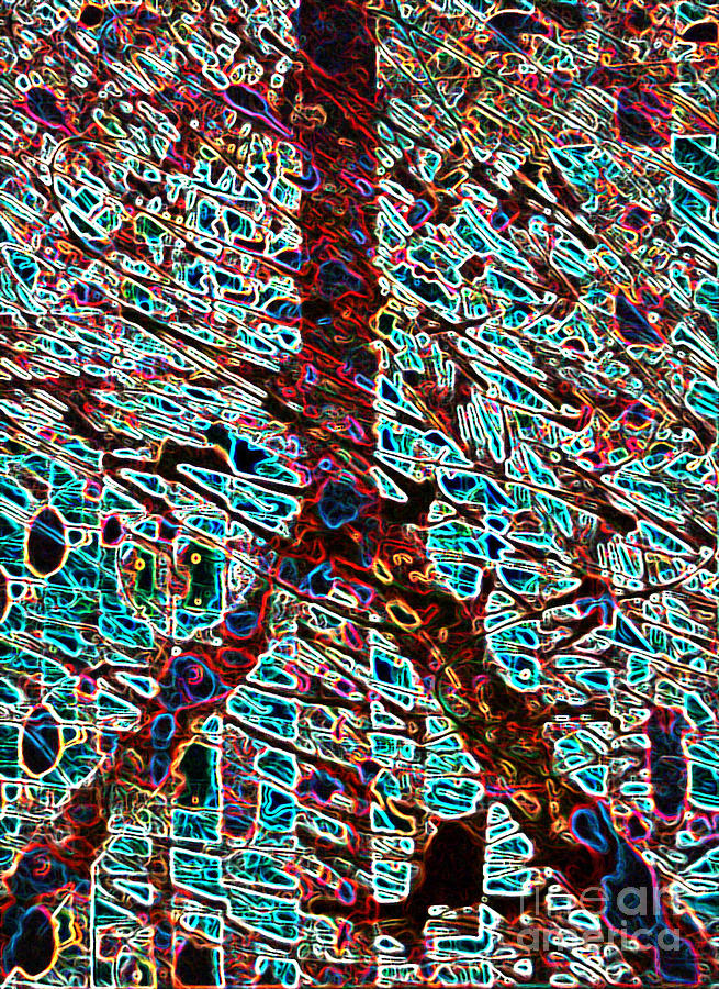 Multi-colored Digital Art - Jolly Ranch Are Peace by Robert Haigh Multi-colored Digital Art - Jolly Ranch Are Peace by Robert Haigh