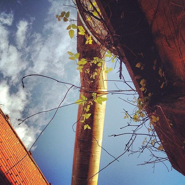 Pipe Photograph - #jonspics #chattanooga #greenlife #sky by Jonathan Bouldin