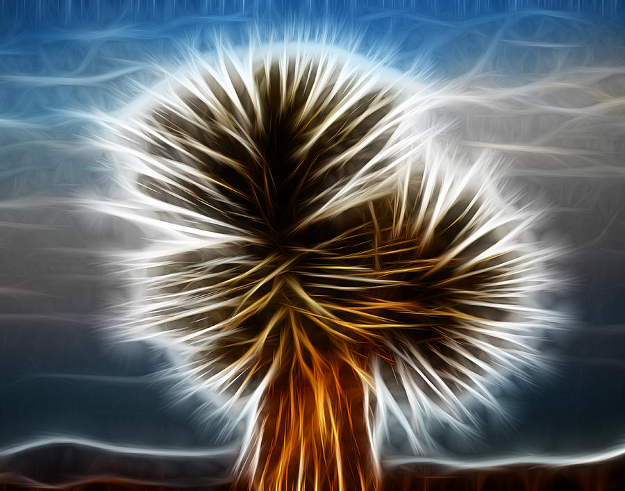 Joshua Tree Close Up Fractalius Photograph by Maggy Marsh