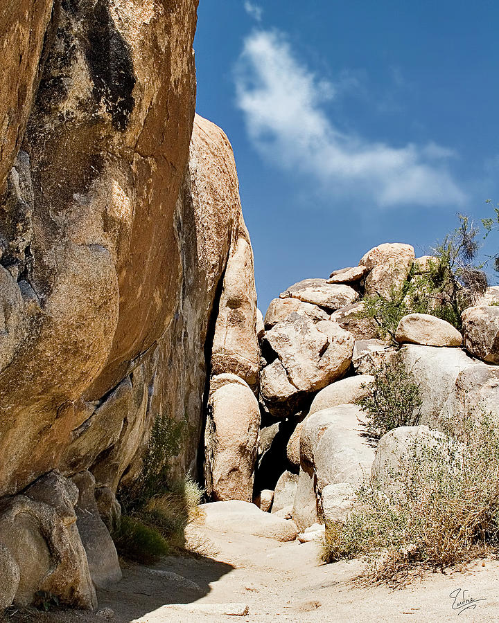 Joshua Tree Rocks Photograph by Endre Balogh