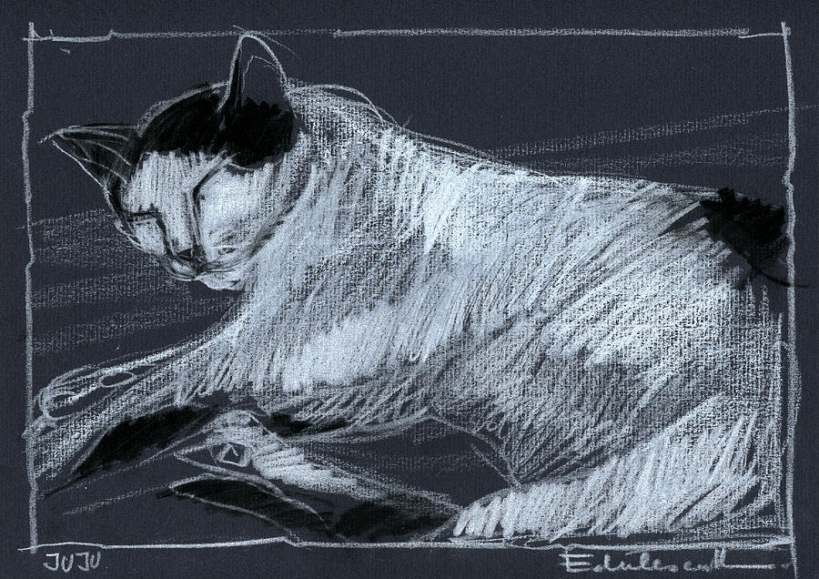 Cat Drawing - Joujou 3 by Mona Edulesco