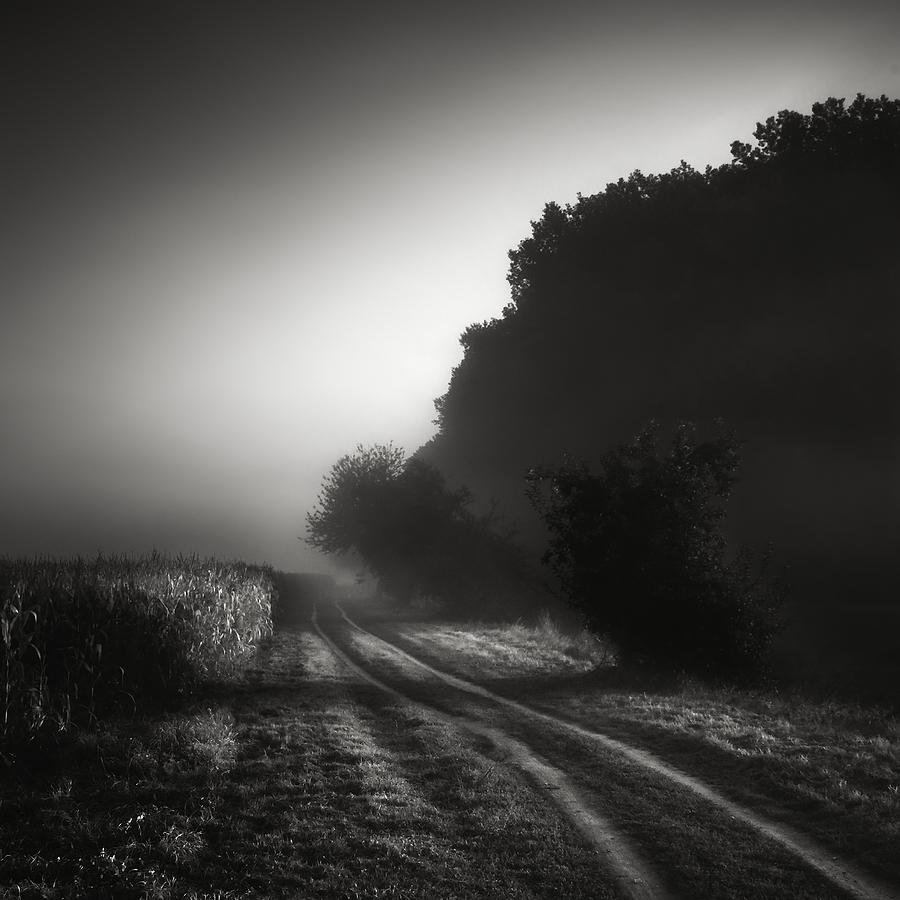 Summer Photograph - Journey Into The Unknown - Cesta Do Neznama by Jaromir Hron