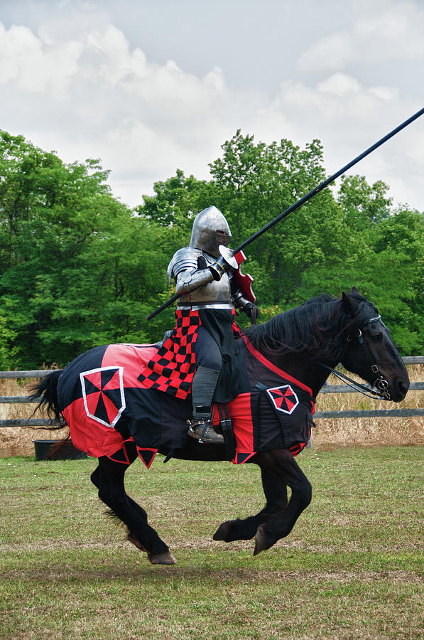Joust 7516 Photograph by Guy Whiteley