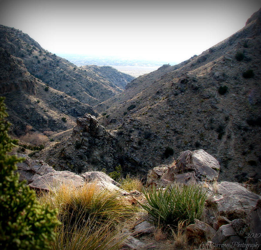 Juan Tabo Canyon Photograph by Aaron Burrows