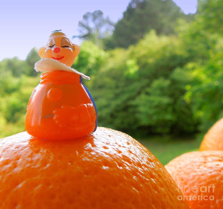 Juggling Oranges Photograph by Renee Trenholm