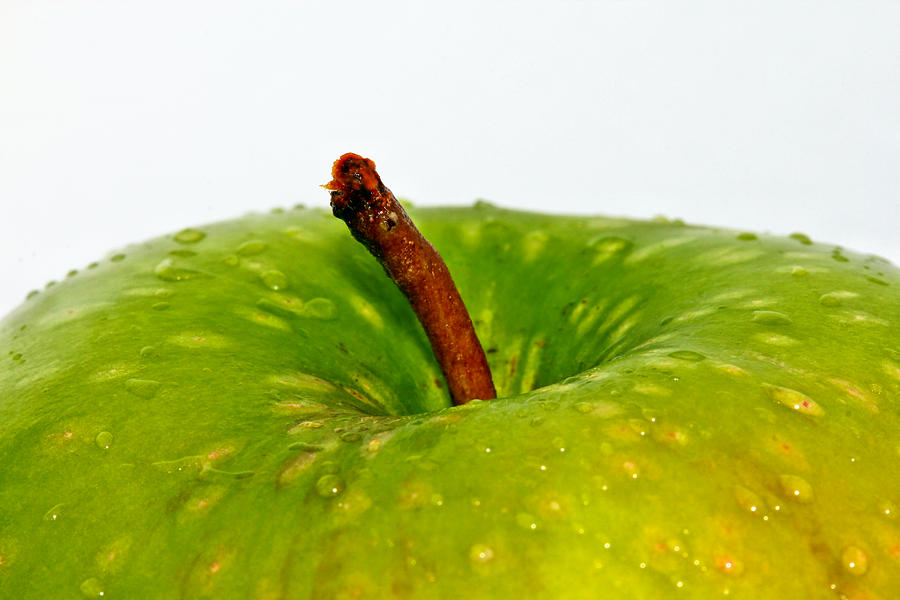 Juicy Green Apple With Stem Photograph by Tracie Schiebel