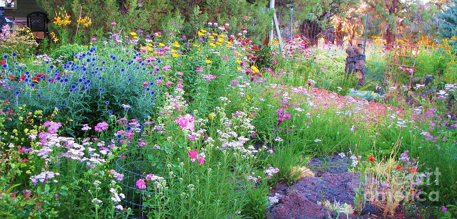 July Garden  Photograph by Michele Penner