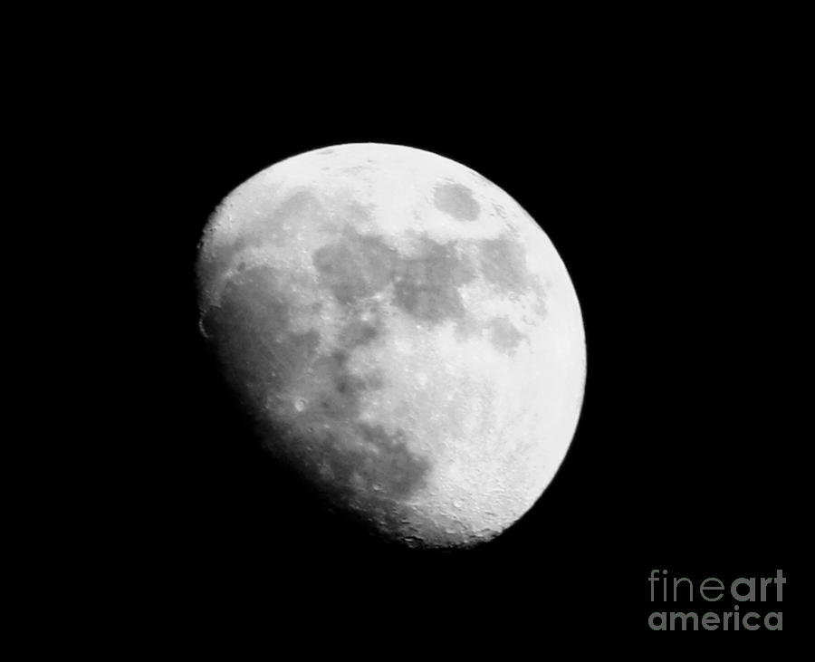 July Moon Photograph by Tommy Anderson