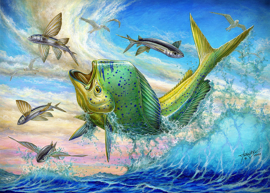 Jumping Mahi Mahi And Flyingfish by Terry Fox