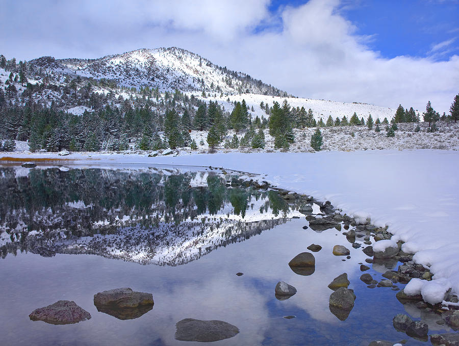 June Lake Reflecting Snow Covered Photograph by Tim Fitzharris