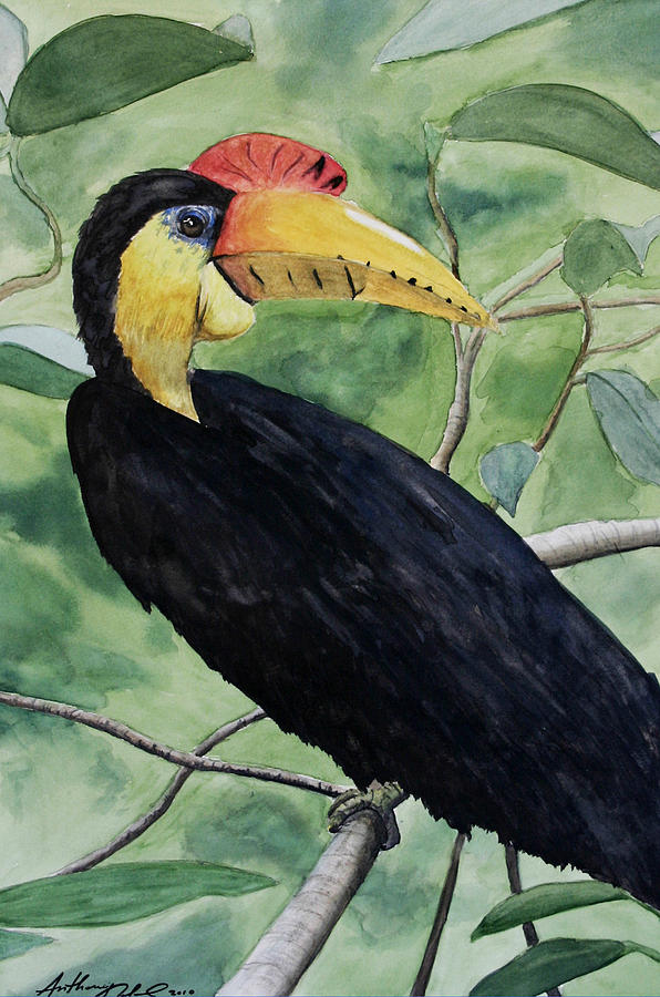 Jungle Painting - Jungle bird by Anthony Nold