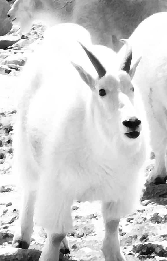 Abstract Digital Art - Junior Mountain Goat by Bill Kennedy Abstract Digital Art - Junior Mountain Goat by Bill Kennedy