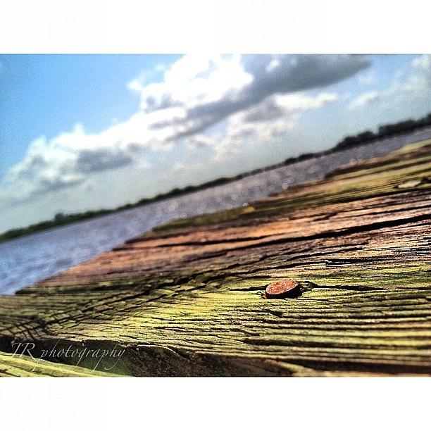 Summer Photograph - Just A #nail #board #ifollow #igdaily by Jorge Ramirez