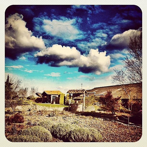 Instagram Photograph - Just A View In A Garden When Walking by Wilbert Claessens