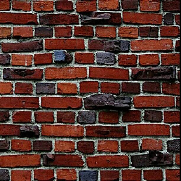 Brick Photograph - Just Another Brick In The Wall by Elisa Franzetta