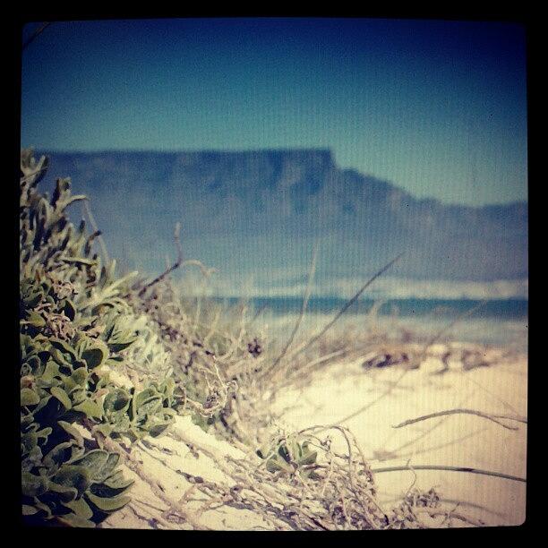 Just Another Gorgeous Day In @capetown Photograph by Coral-Leigh Stuart-deLange