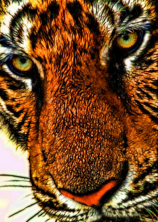 Tiger Photograph - Just Face It by Joetta West