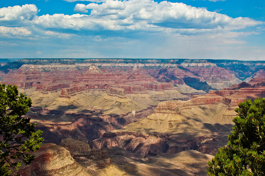 Grand Canyon National Park Photograph - Just Grand by Heidi Smith