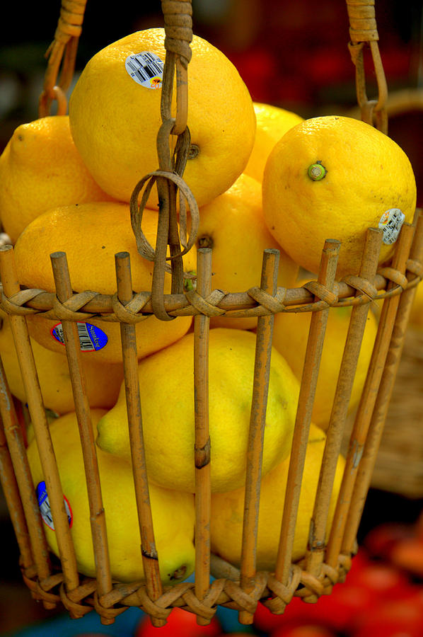 Just Lemons Photograph by Caroline Stella