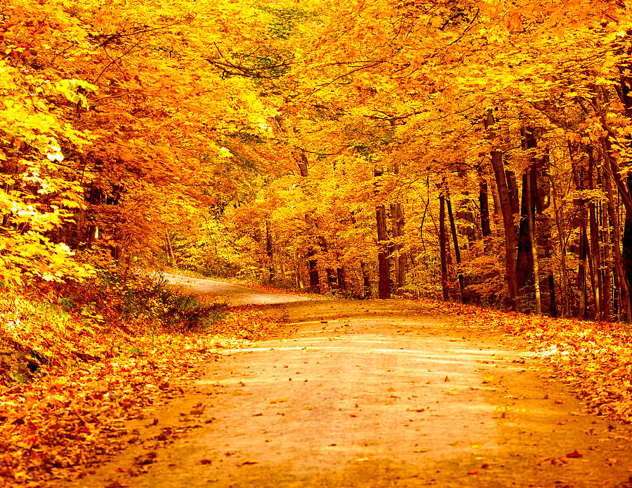 Just start walking Photograph by Randall Branham - Fine Art America