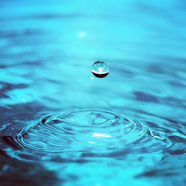 Nature Photograph - Just Water Droplet.#closeup #macro by Noppakorn Padungsak