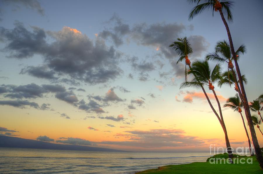 Kaanapali Palm Sunrise Photograph by Kelly Wade