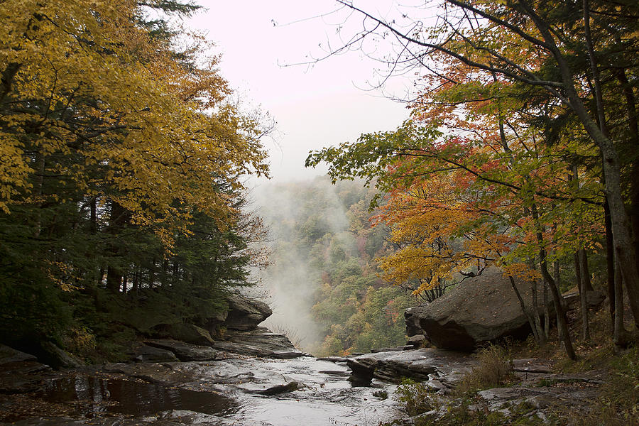 Kaaterskill Falls in the Fog Photograph by Gregory Scott