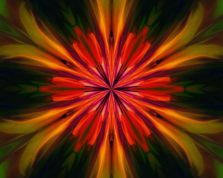 Kaleidoscope Floral 121011 Digital Art by David Lane