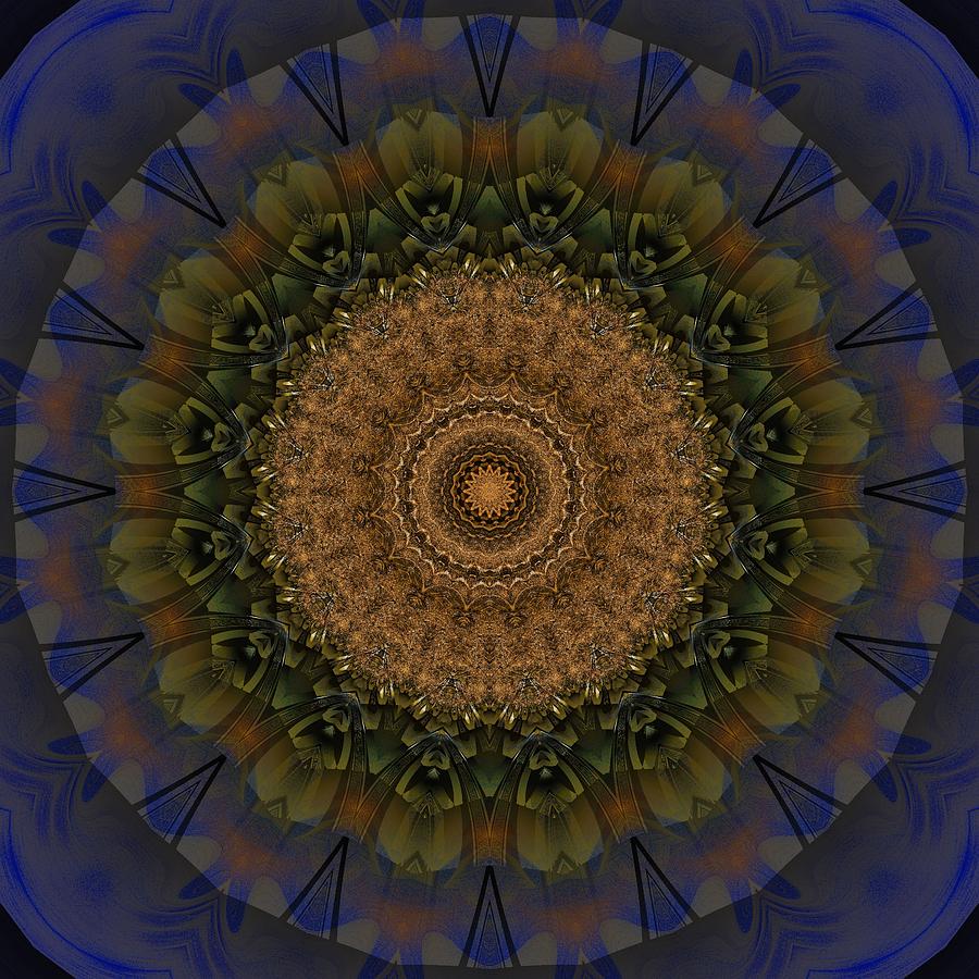 Kaleidoscope VI Digital Art by Richard Ortolano