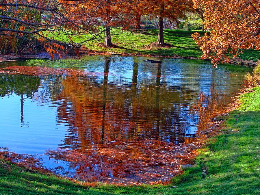 Kansas Fall Foliage Reflecting Pool Photograph by Tim McCullough