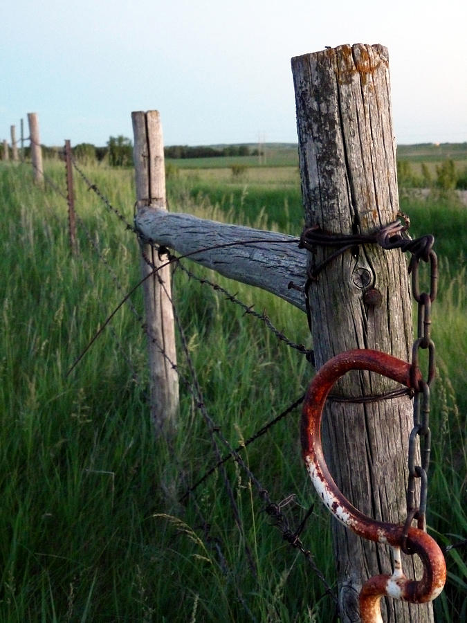 Kansas Fence Post Photograph by Terry Eve Tanner