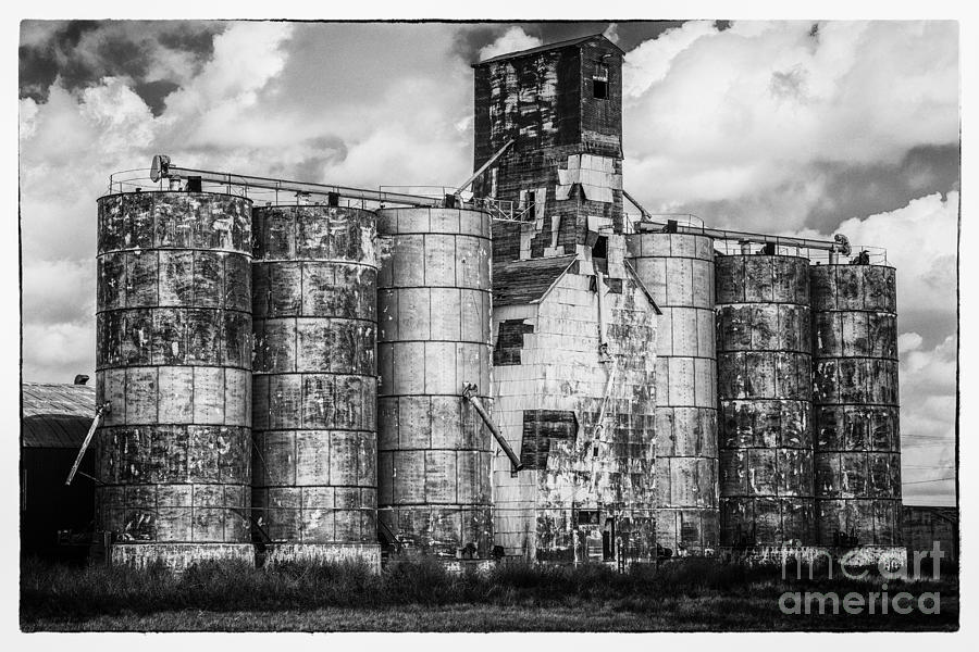 Grain Elevator Photograph - Kansas Grain Elevator by David Waldrop
