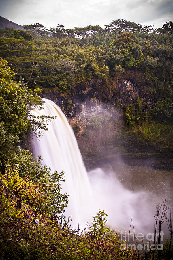 Kauai Waterfall Photograph by Darcy Michaelchuk