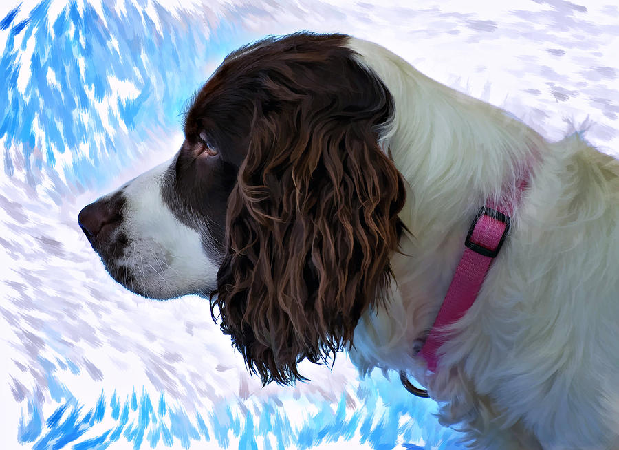 Dog Photograph - Kaya paint filter by Steve Harrington