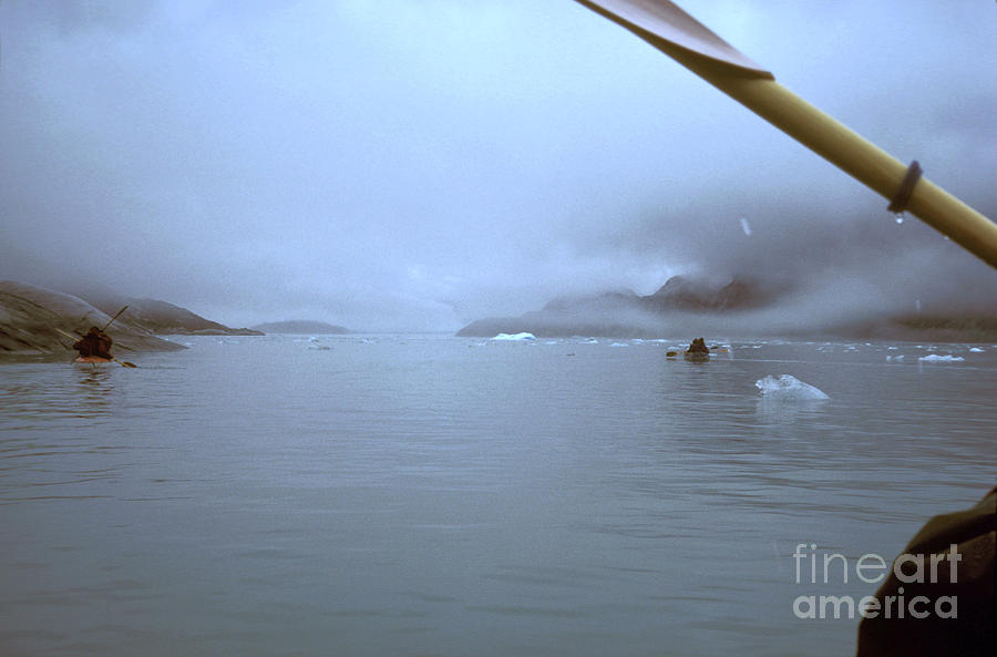 Kayaking In Glacier Bay, Alaska Photograph by Greg Dimijian