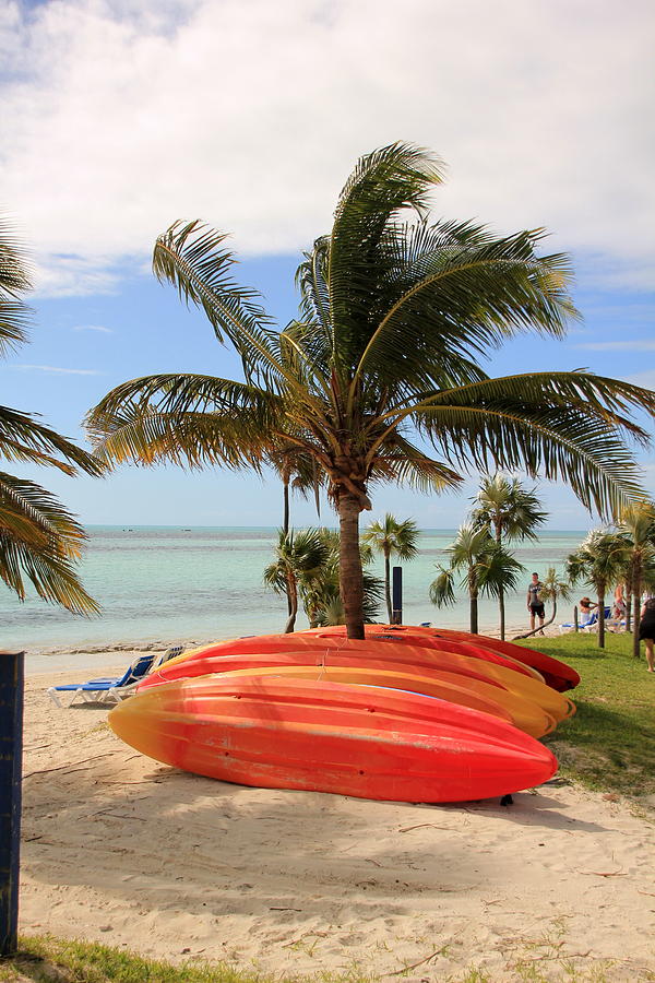 Kayaks and Palm Trees Photograph by RobLew Photography