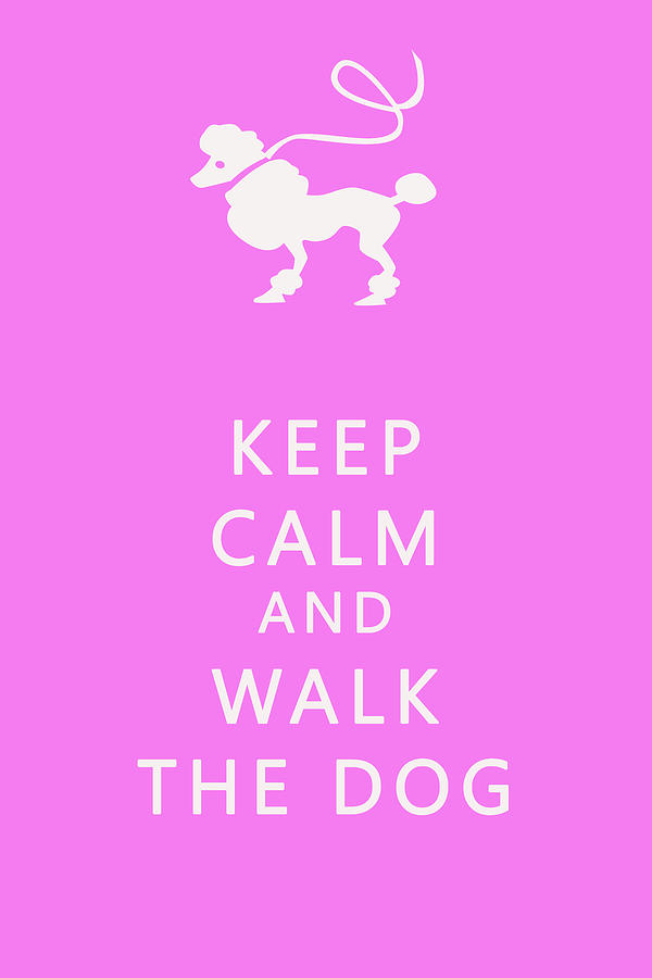 Dog Photograph - Keep Calm and Walk The Dog #1 by Georgia Clare