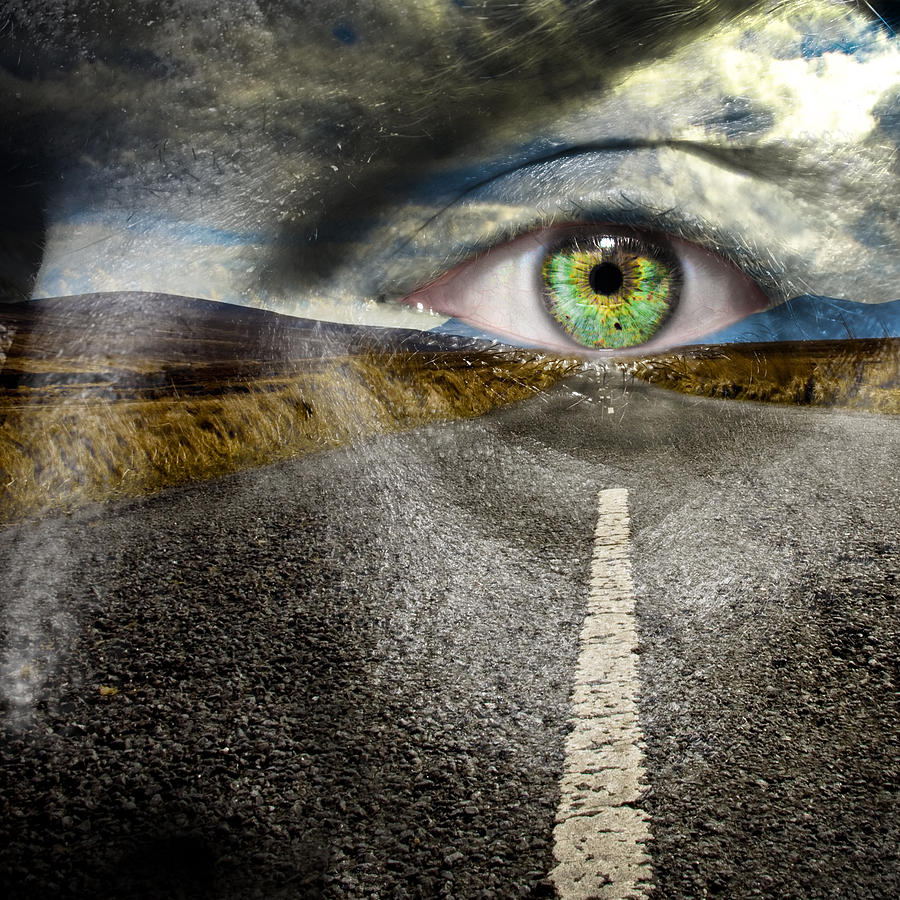 Keep Your Eyes on the Road Photograph by Semmick Photo