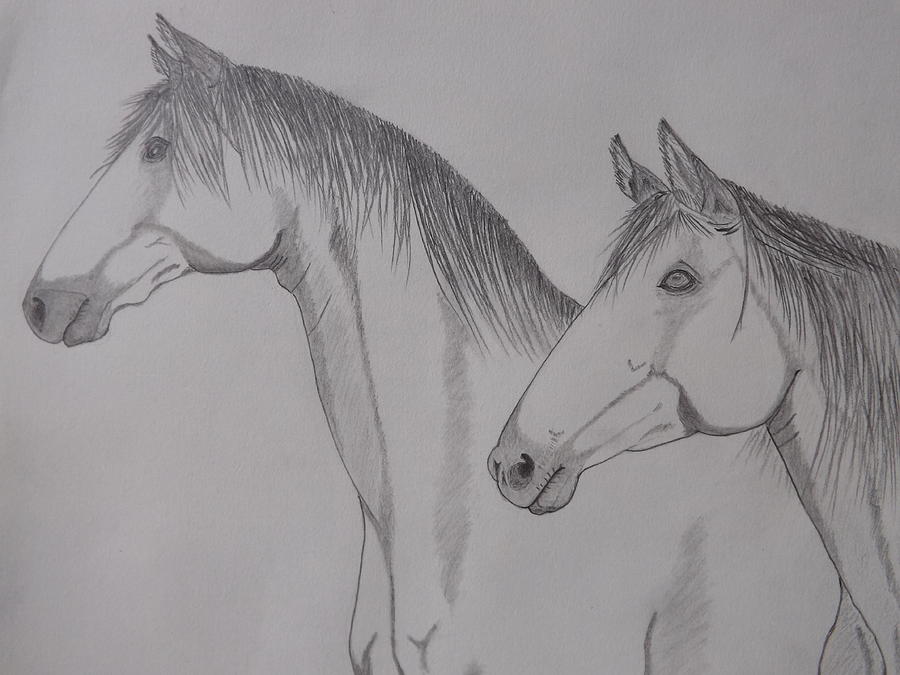 Keiger Mustangs Drawing