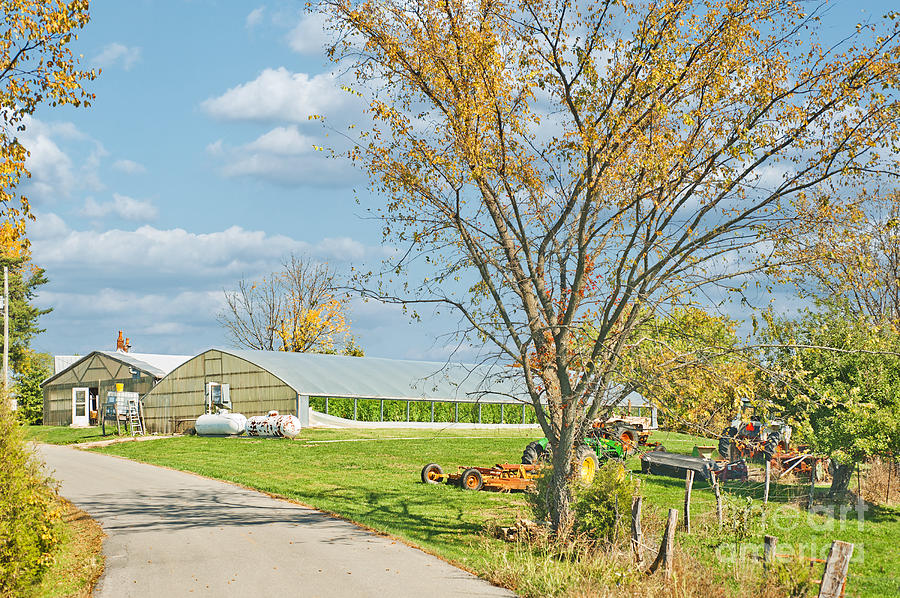 Kentucky Greenhouse Photograph by Anne Kitzman Fine Art America