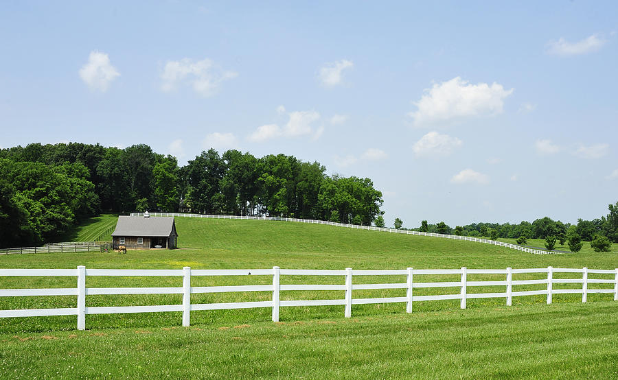 Kentucky Hills Photograph by Gail Stephenson - Fine Art America