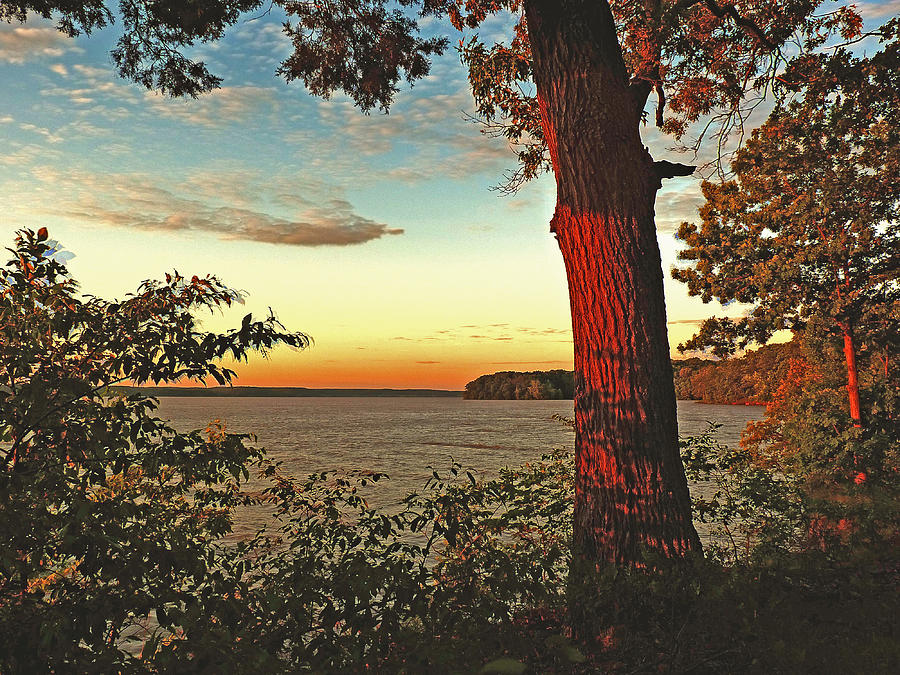 Kentucky Lake Sunrise Photograph by William Fields